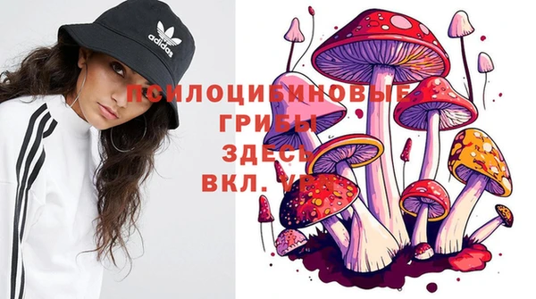 герыч Алзамай