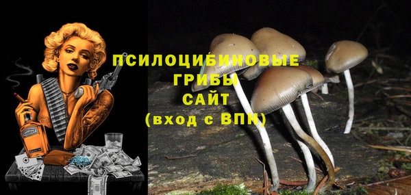 а пвп мука Абдулино